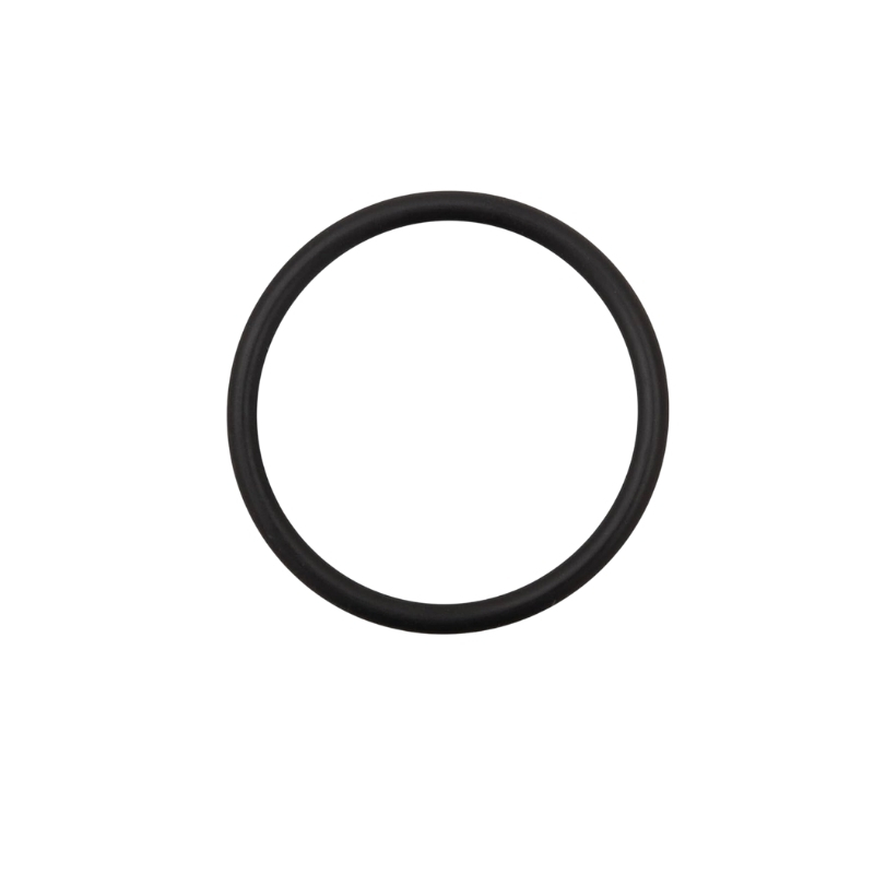 Alternator Cap O-Ring Alternator Cap O-Ring