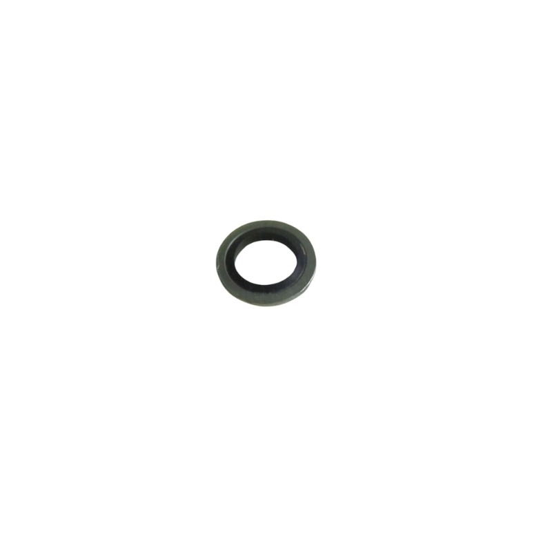 Sealing Washer