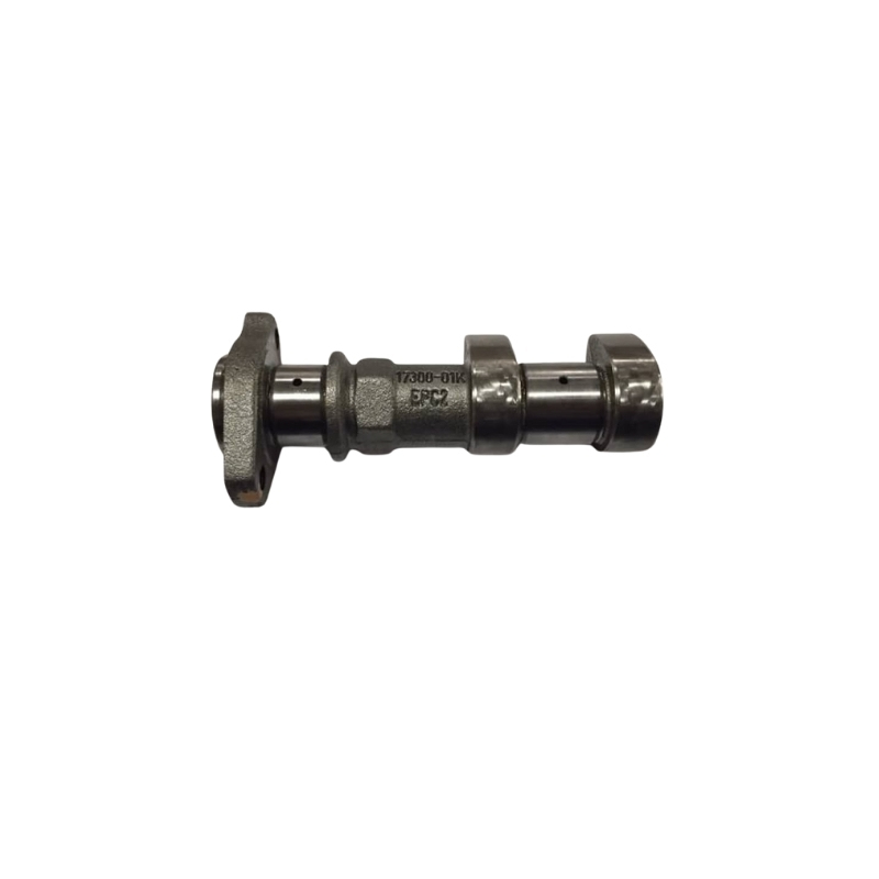 Camshaft Assembly Intake