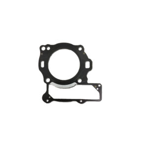 Gasket Cylinder Under Head Rear