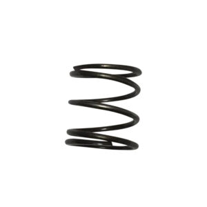 Pushrod Cover Spring