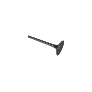 Exhaust Valve