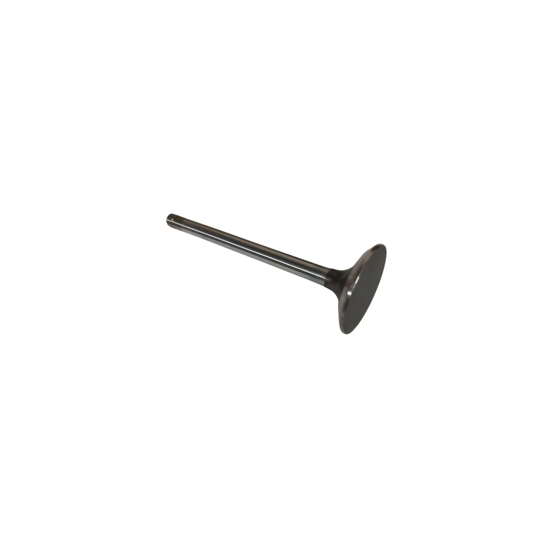 Exhaust Valve