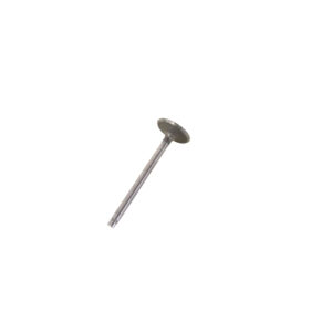 Intake Valve