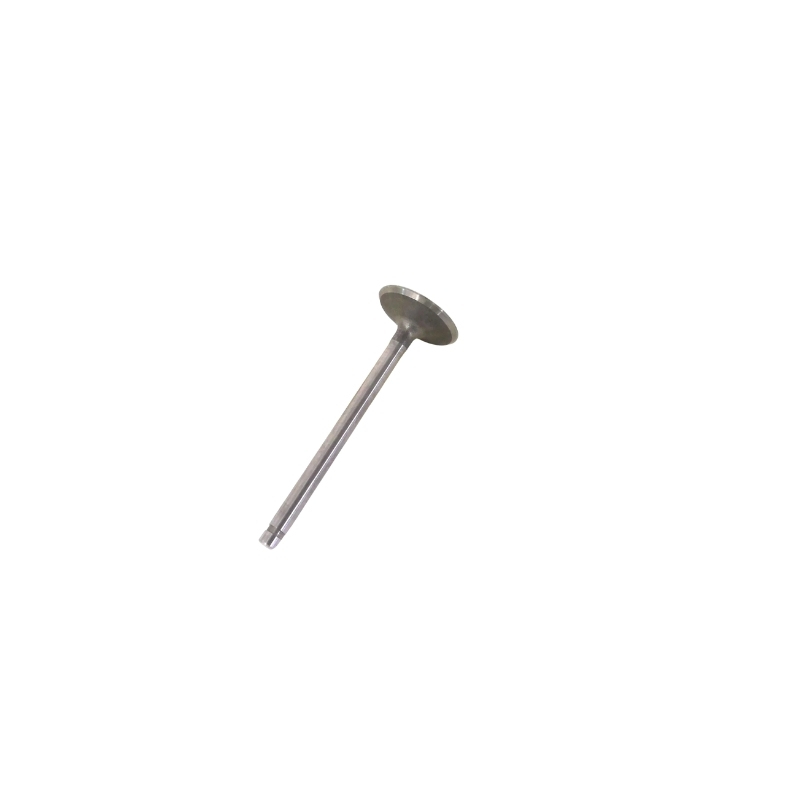 Intake Valve