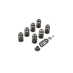 Screamin' Eagle Performance Valve Spring Kit