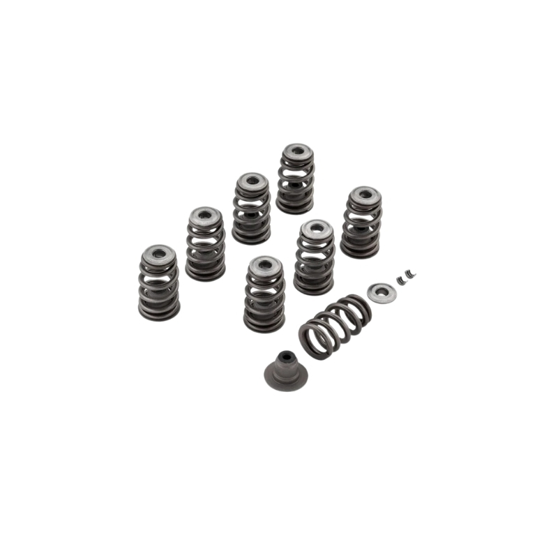 Screamin' Eagle Performance Valve Spring Kit