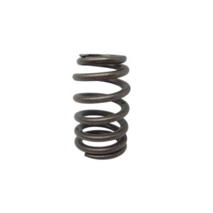 Valve Spring