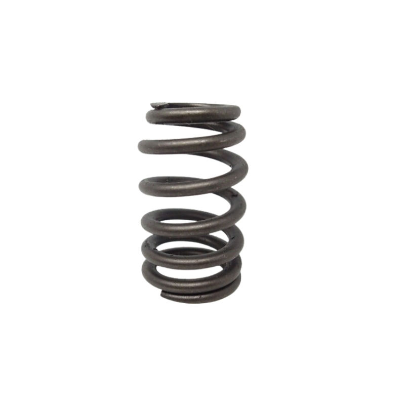 Valve Spring Valve Spring