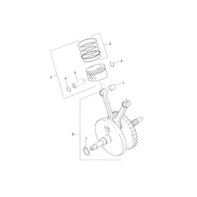 Standard Piston With Rings