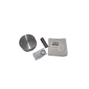 Piston And Ring Kit .010 Inches