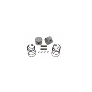 Piston And Ring Set .005 Inches