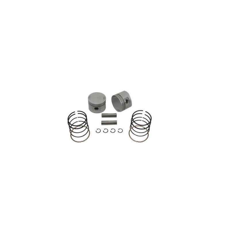 Piston And Ring Set .005 Inches Piston And Ring Set .005 Inches
