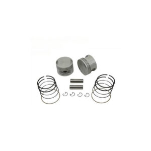Piston And Ring Kit