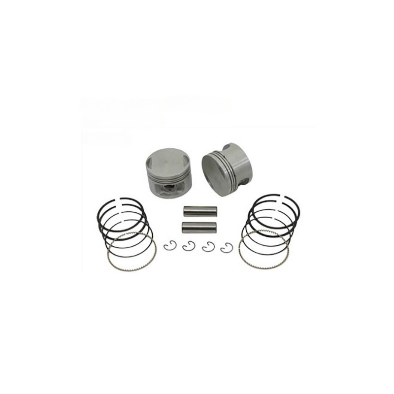 Piston And Ring Kit