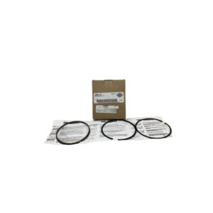Piston Ring Set Std