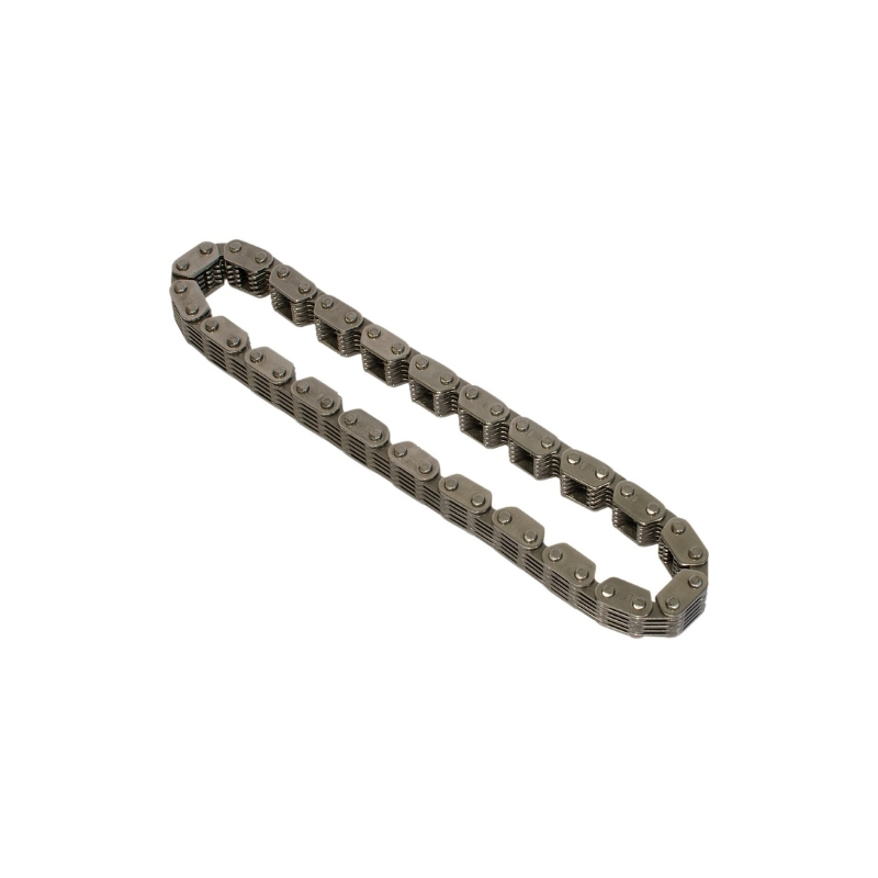 Primary Cam Drive Chain