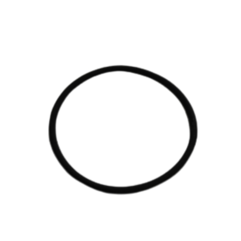 O-Ring