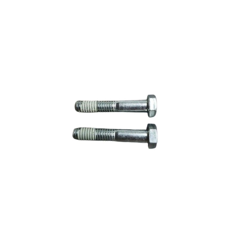 Screw Hex Cap
