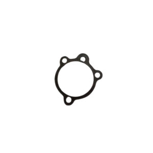 Carburetor Inlet Gasket