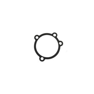 Carburetor Inlet Gasket
