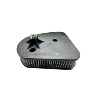 Air Cleaner Filter