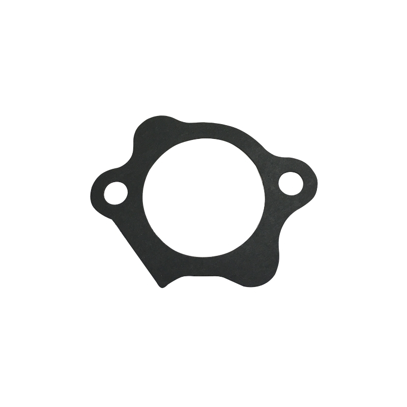 Starter Motor Gasket