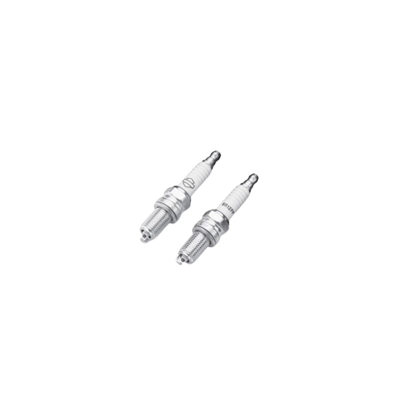Double Platinum Spark Plugs