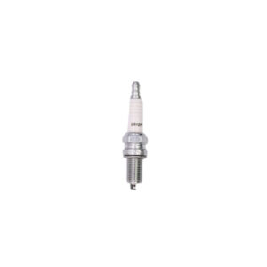 Spark Plug Double Platinum 6R12P