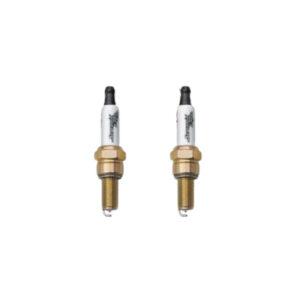 Spark Plug Triple Platinum TP12