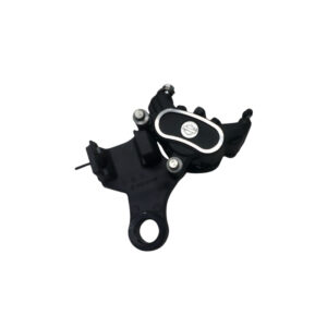 Rear Brake Caliper Assembly