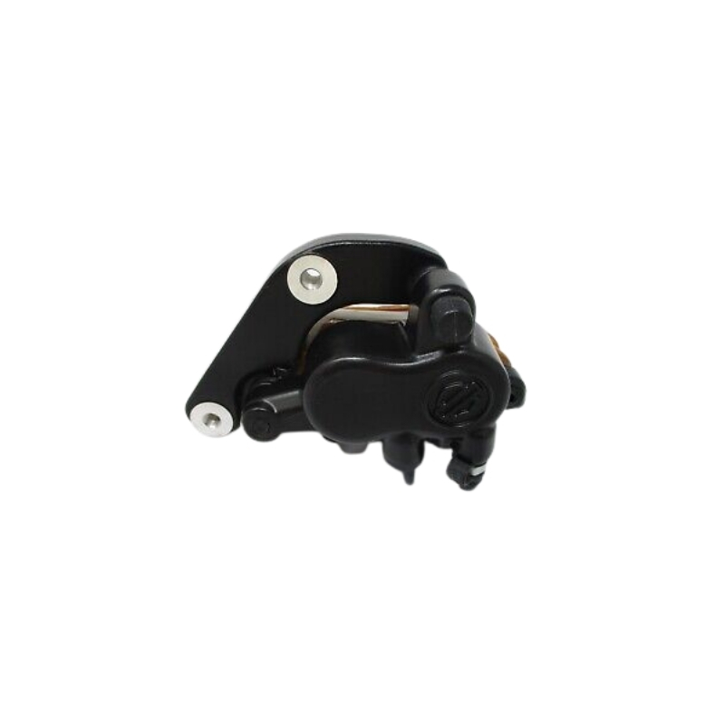 Rear Brake Caliper Assembly
