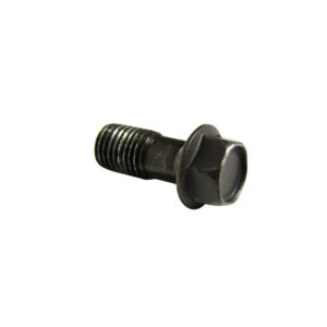 Banjo Bolt 10mm