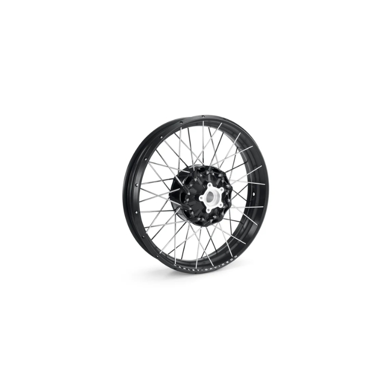 Laced 19 in. Front Wheel