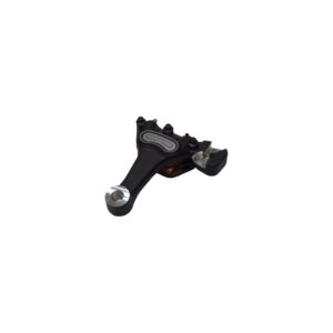 Rear Brake Caliper Assembly