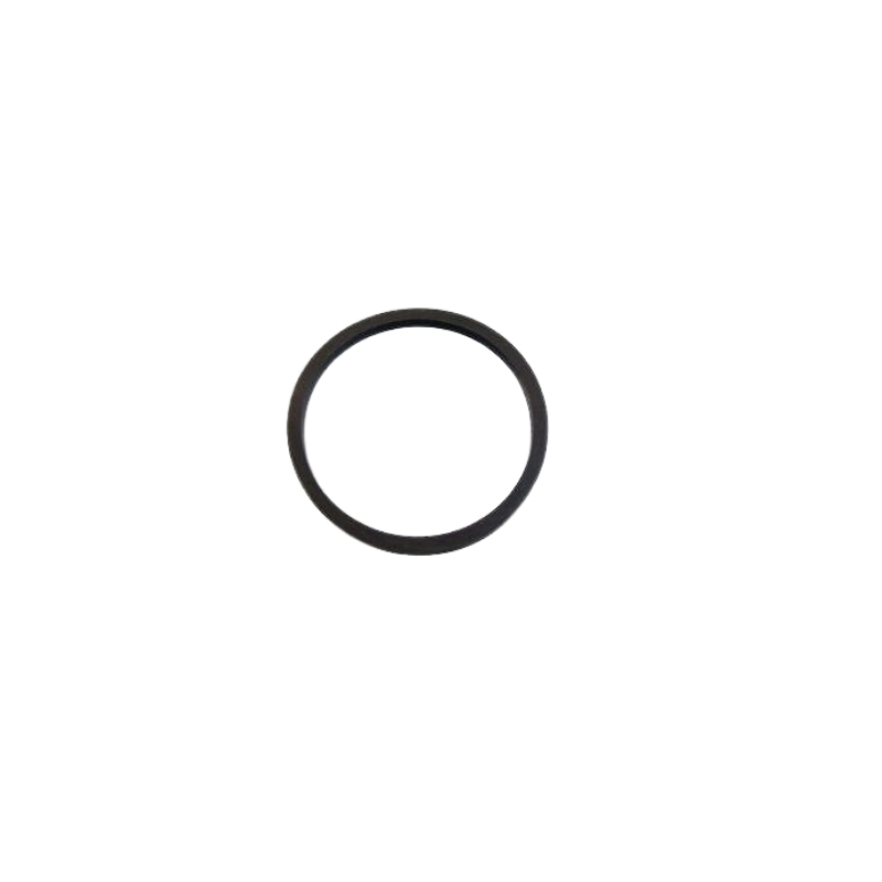 Piston Seal