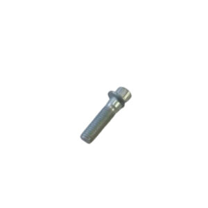Lower Brake Caliper Mounting Bolt