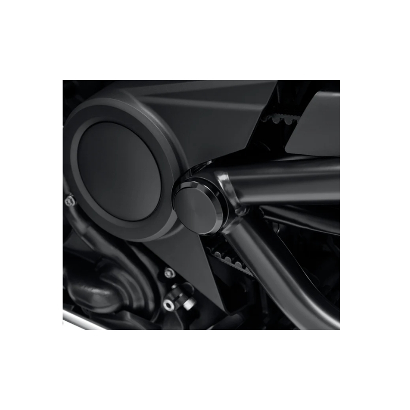 Swingarm Pivot Shift Cover