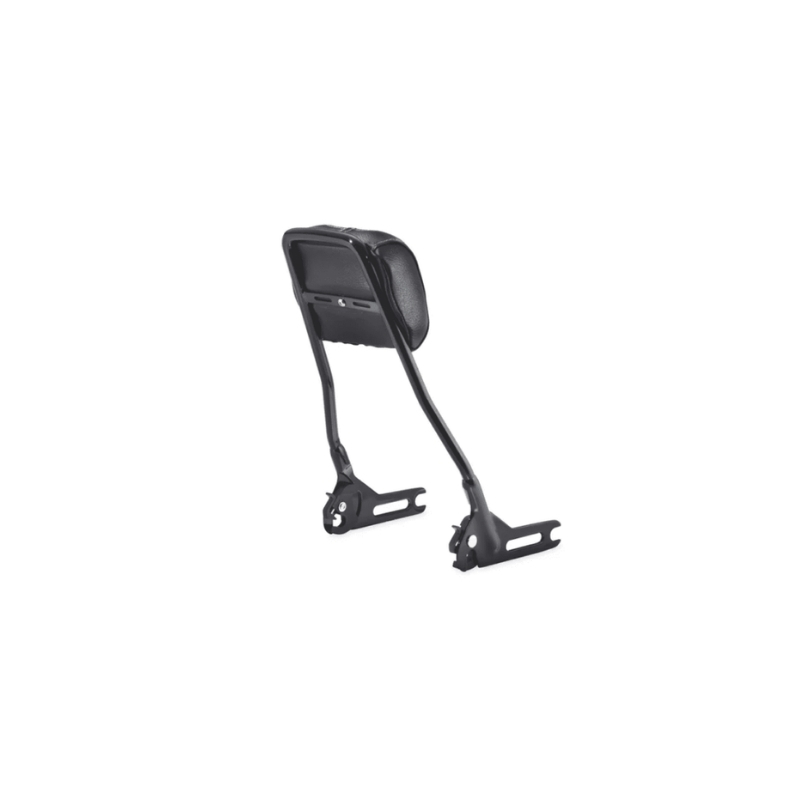 One-Piece H-D Detachables Sissy Bar