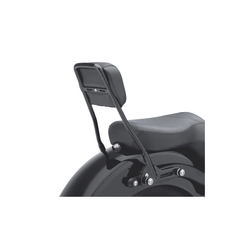 One-Piece H-D Detachables Sissy Bar