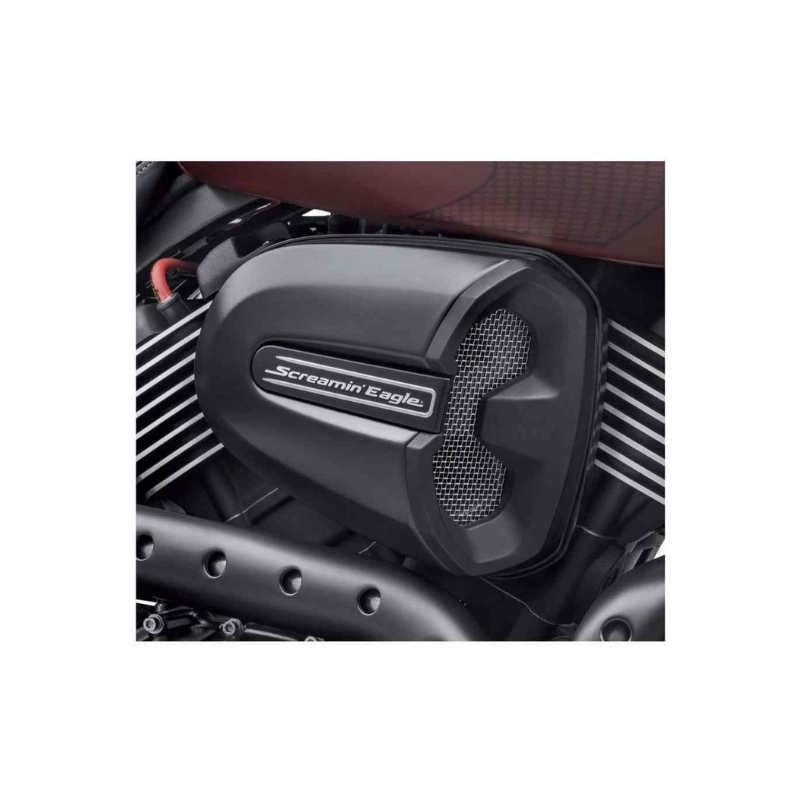 Screamin' Eagle Air Cleaner Insert