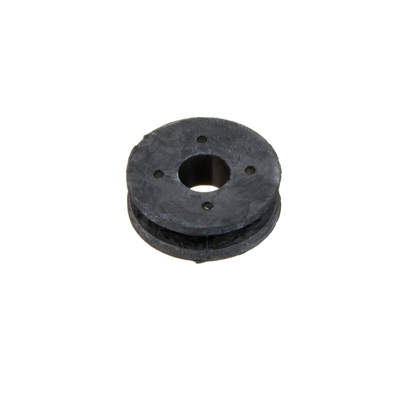 Bushing Windshield