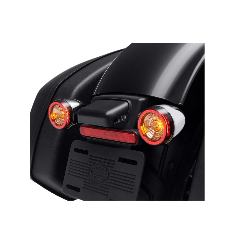 Rear Signature LED Turn Signal Assembly