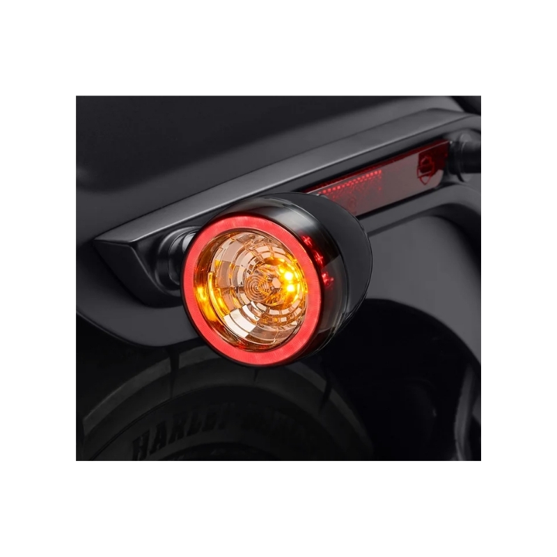 Rear Signature LED Turn Signal Assembly