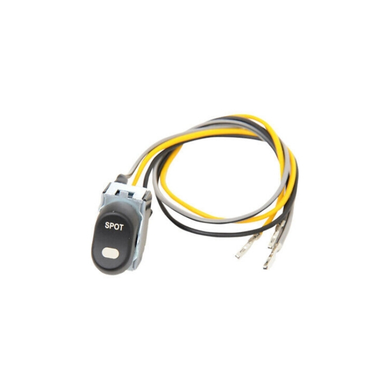 Passing Lamp Switch
