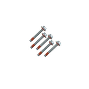 Seal Bolt 5/16