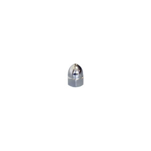 Nut Acorn