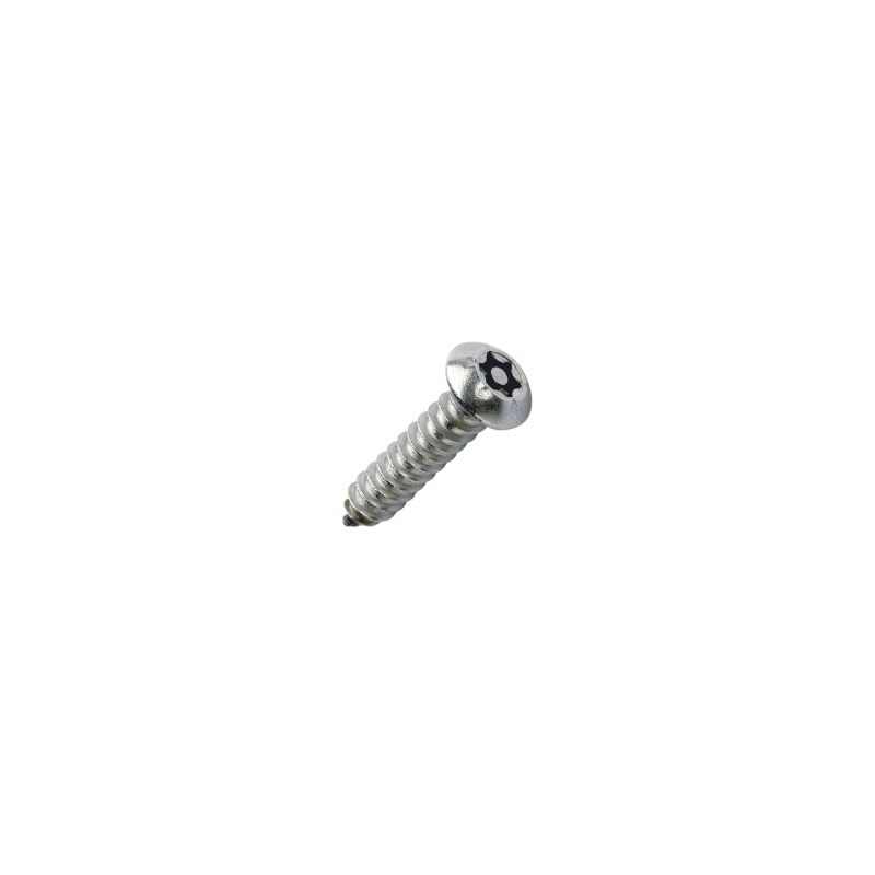 Screw Button Torx Lock
