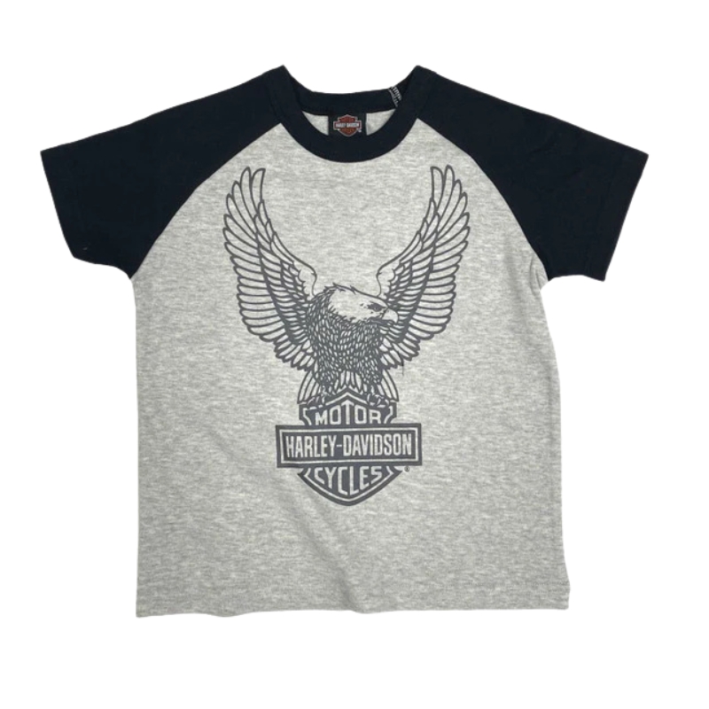 Colorblocked Raglan T-shirt