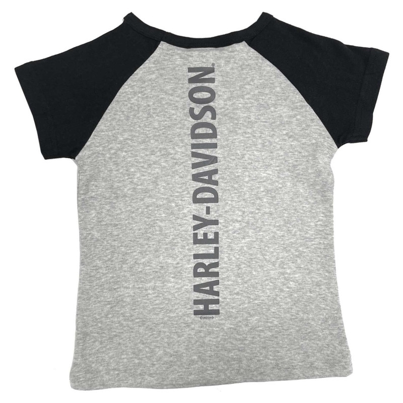 B&S Raglan Short Sleeve Colorblock Tee